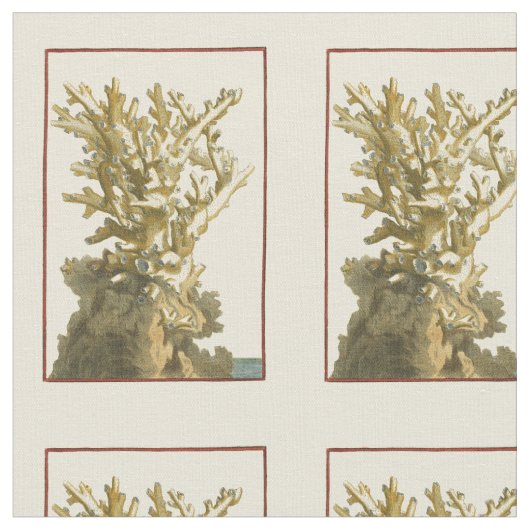 Korallen am Meer Stoff (Nahaufnahme)