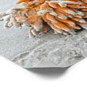 Korallen am Strand, Insel Kiawah Poster (Ecke)