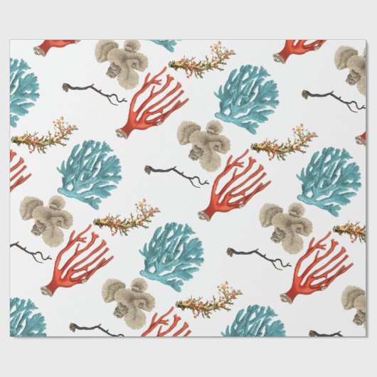 Korallen Geschenkpapier (Flach)