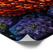 Korallen im Meer Poster (Ecke)
