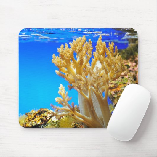 Korallen in einem Aquarium Mousepad (Mit Mouse)
