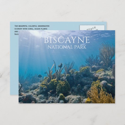 Korallen, Pflanze, Fisch, Biskaya-Nationalpark, FL Postkarte (Vorne/Hinten)