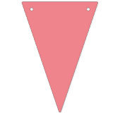 Korallen und Aquamarin Wimpelkette (Erste Fahne)