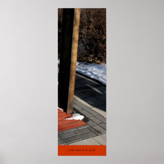 Korallen- und Eisensteckposter Poster (Vorne)