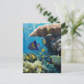 Korallen und Fische im Roten Meer, Ägypten Postkarte (Stehend Vorderseite)
