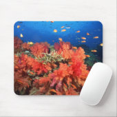 Korallen und Fische Mousepad (Mit Mouse)