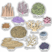 Korallenarten Aufkleber (Vorderseite)