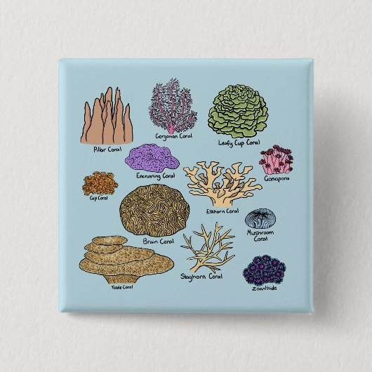 Korallenarten Button (Vorderseite)