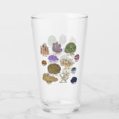 Korallenarten Glas (Rückseite)