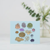 Korallenarten Postkarte (Stehend Vorderseite)