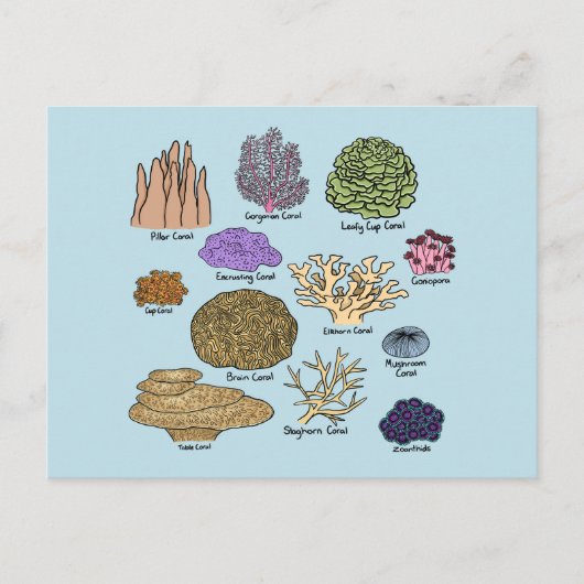 Korallenarten Postkarte (Vorderseite)