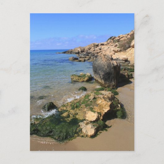 Korallenbucht Postkarte (Vorderseite)