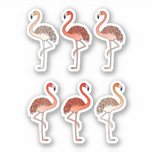 Korallenfarbene Flamingos Aufkleber (Vorderseite)