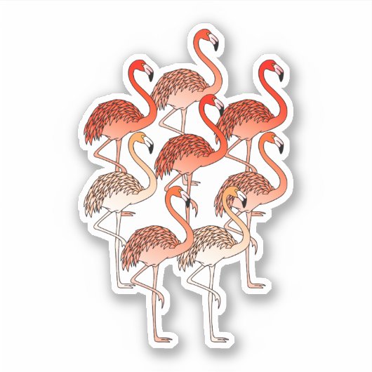 Korallenfarbene Flamingos Aufkleber (Vorderseite)