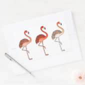 Korallenfarbene Flamingos Rechteckiger Aufkleber (Umschlag)