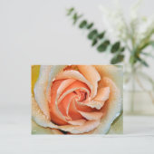 Korallenfarbener Single Rose Postkarte (Stehend Vorderseite)