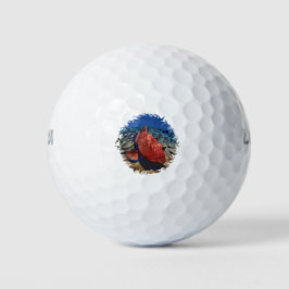 Korallenfisch Golfball