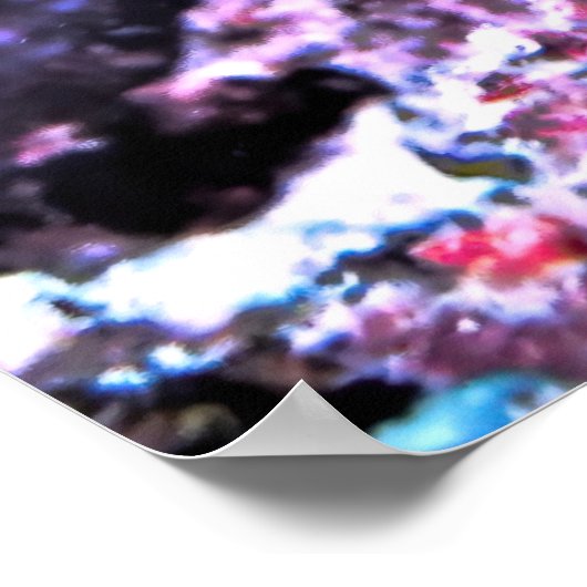 Korallenfisch Poster (Ecke)