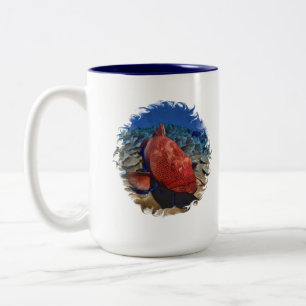 Korallenfisch Zweifarbige Tasse