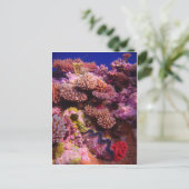 Korallengarten Postkarte (Stehend Vorderseite)