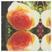 Korallengelbe Rose Stoff (Nahaufnahme)