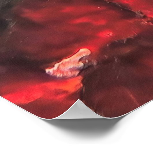 Korallengrupper Poster (Ecke)