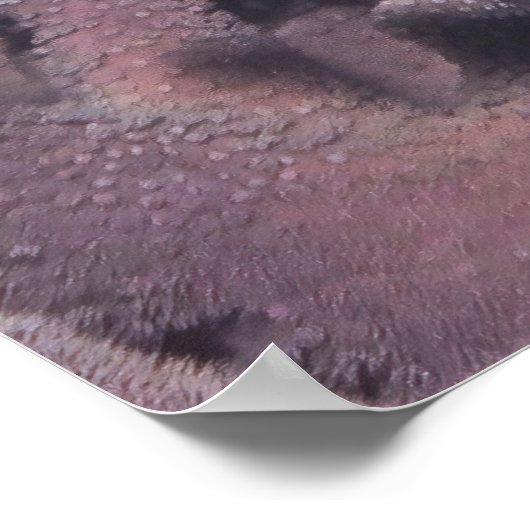 Korallenhind Poster (Ecke)