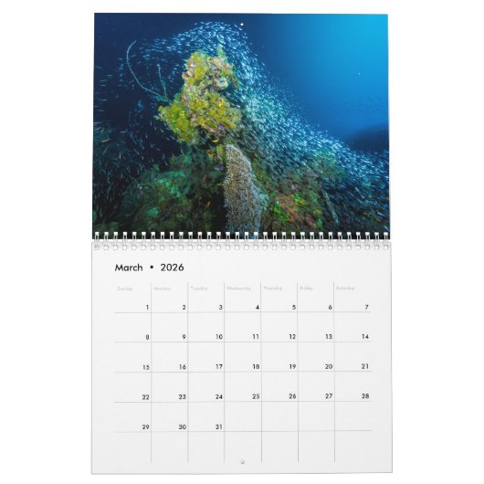Korallenkalender 2023 kalender (Mär 2026)