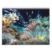 Korallenmeer-Kalender 2014 Kalender (Titelbild)