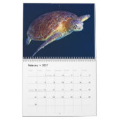 Korallenmeer-Kalender 2014 Kalender (Feb 2027)