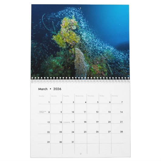 Korallenmeer-Kalender 2019 Kalender (Mär 2026)