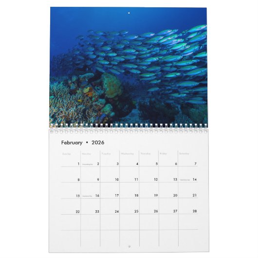 Korallenmeer-Kalender 2019 Kalender (Feb 2026)