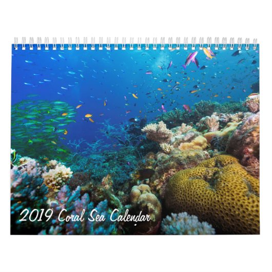 Korallenmeer-Kalender 2019 Kalender (Titelbild)