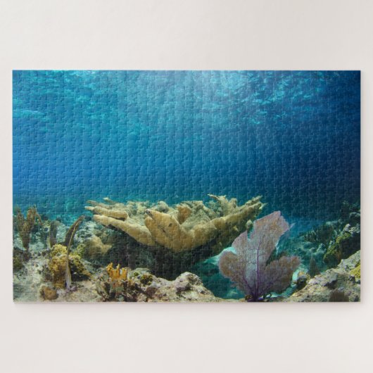 Korallenriff 20"x30" puzzle (Horizontal)