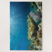 Korallenriff 20"x30" puzzle (Vertikal)