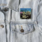 Korallenriff, Agincourt Reef, Great Barrier Reef, Button (Beispiel)