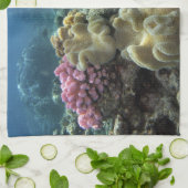 Korallenriff, Agincourt Reef, Great Barrier Reef, Küchentuch (Gefaltet)