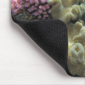 Korallenriff, Agincourt Reef, Great Barrier Reef, Mousepad (Ecke)