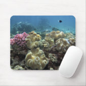 Korallenriff, Agincourt Reef, Great Barrier Reef, Mousepad (Mit Mouse)
