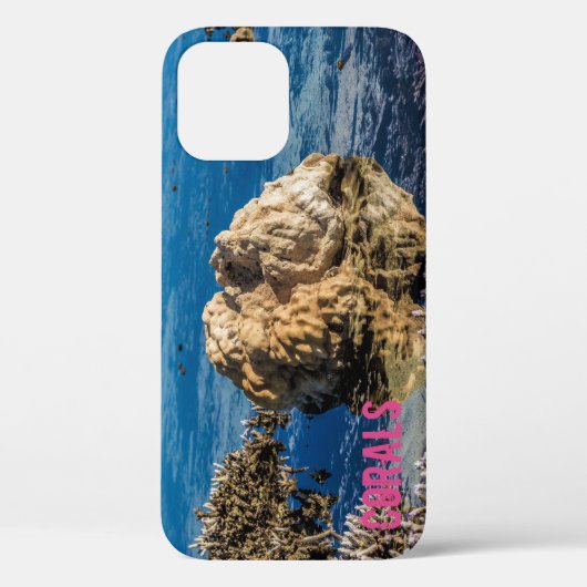 Korallenriff bei Ebbe Case-Mate iPhone Hülle (Rückseite)