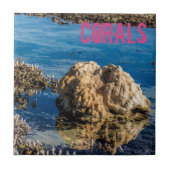Korallenriff bei Ebbe Fliese (Vorderseite)