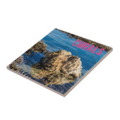 Korallenriff bei Ebbe Fliese (Seite)