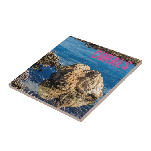 Korallenriff bei Ebbe Fliese (Seite)