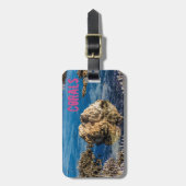 Korallenriff bei Ebbe Gepäckanhänger (Vorderseite vertikal)