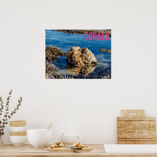 Korallenriff bei Ebbe Poster (Küche)