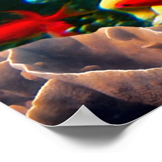 Korallenriff bunt , poster (Ecke)