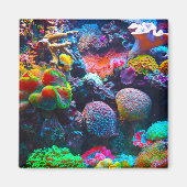Korallenriff bunter Magnet (Vorne)