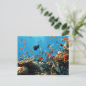 Korallenriff Fische Naturlandschaft Postkarte (Stehend Vorderseite)