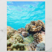 Korallenriff Flyer (Vorne)