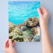 Korallenriff Flyer (Hand)